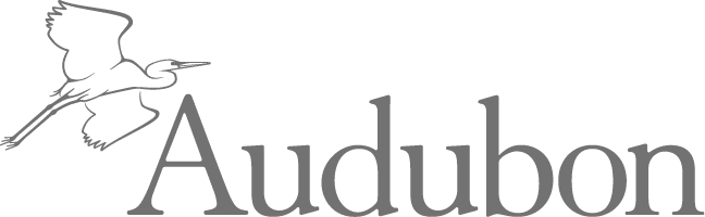 Audubon